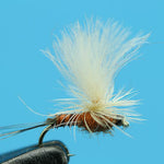 Rusty Para Spinner  - Mayfly Dry Fly