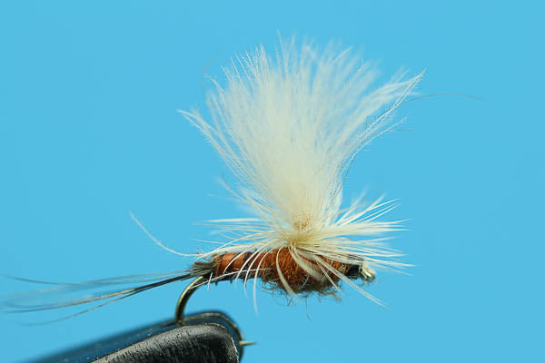 Rusty Para Spinner  - Mayfly Dry Fly