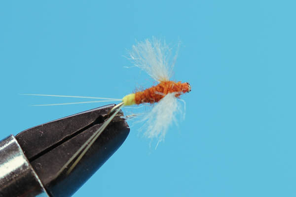 Rusty Spinner Egg Sack  - Mayfly Dry Fly