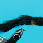 Sculpin