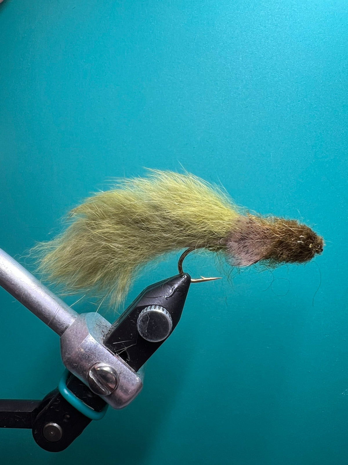 Sculpin - Olive