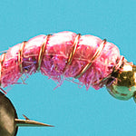 Shrimp-Beadhead