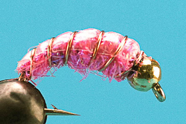 Shrimp-Beadhead