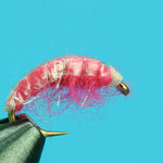 Shrimp Scud
