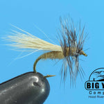 Snowshoe Caddis
