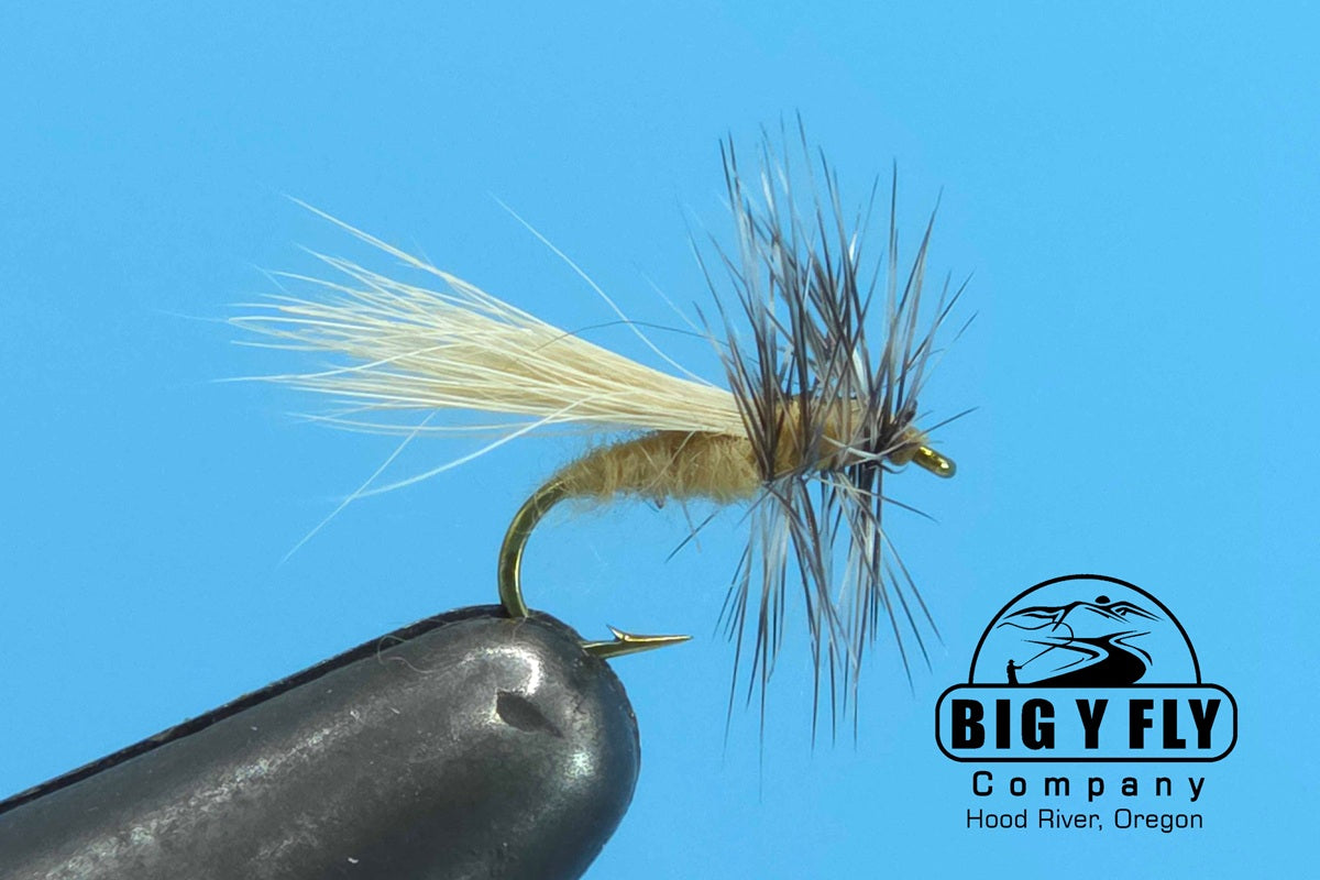 Snowshoe Caddis
