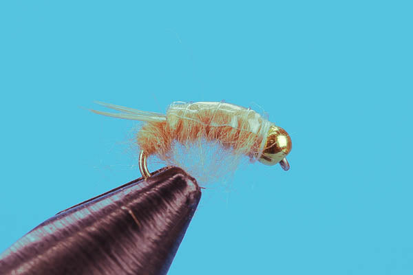 Sow Bug-Beadhead