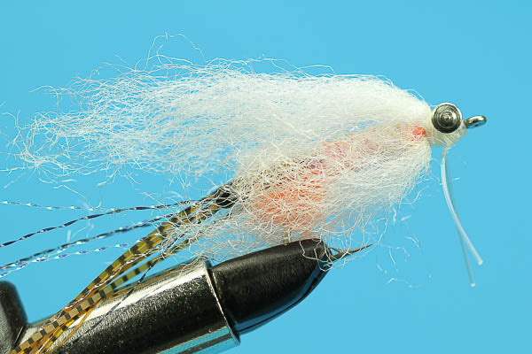 Spawning Shrimp - Deep