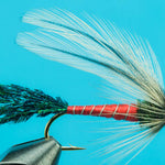 Spruce Fly