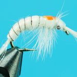 Steelhead Mysis