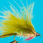 Stickleback Minnow