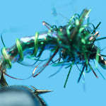 Terminal Midge