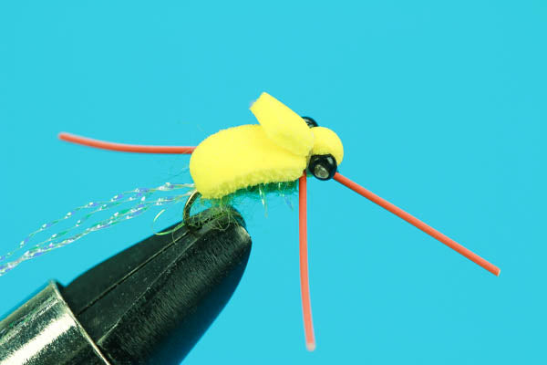 Foam Tick