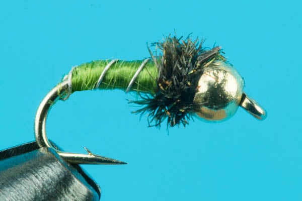Zebra Midge - Tungsten