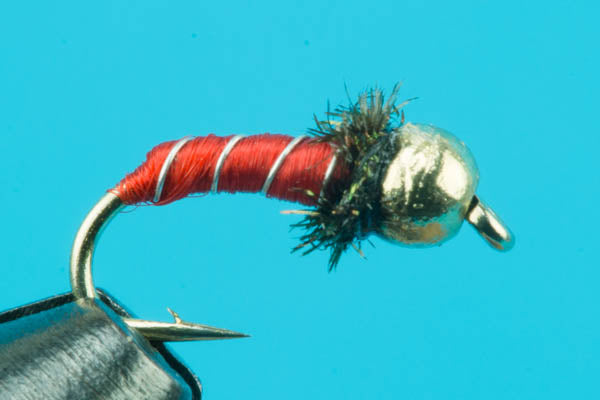 Zebra Midge - Tungsten