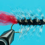 Woolly Worm