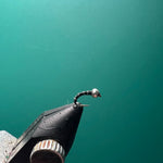 Zebra Midge