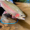 Private Water - Day Guide Trip