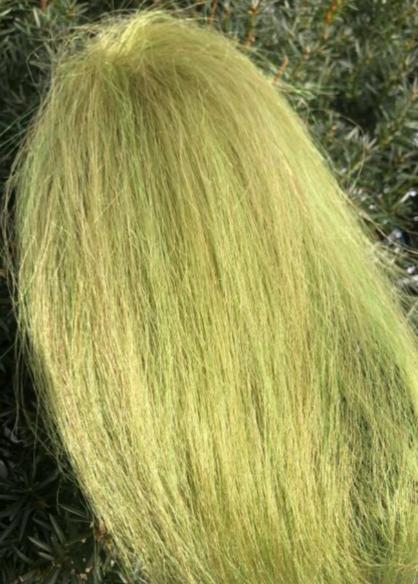 Squimpish Hair