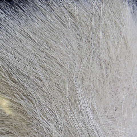 Arctic Fox Hair