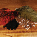 India Hen Back