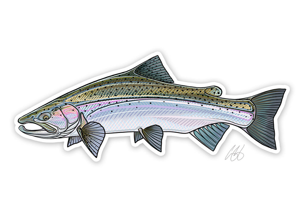 Casey Underwood Art Decals